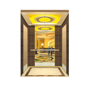 Residential villa passenger elevator with standard remote monitoring